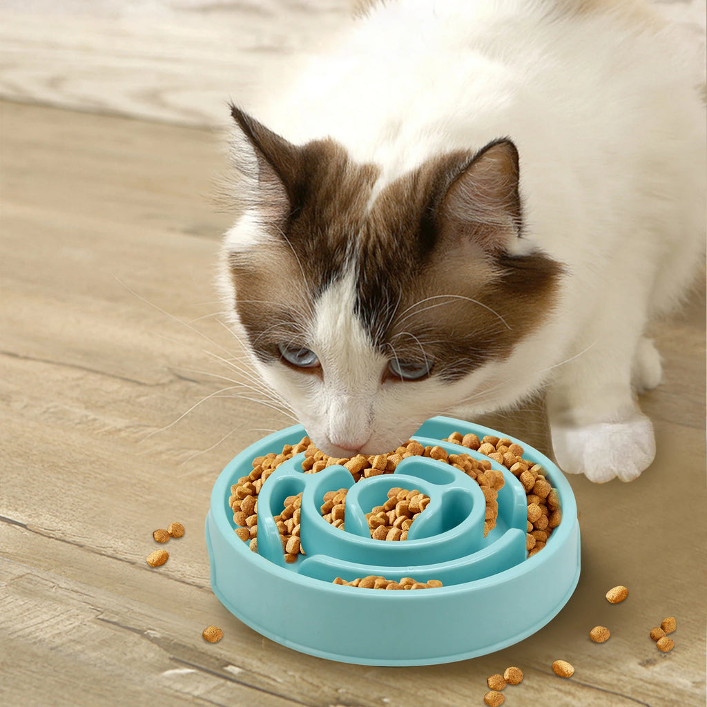 Anti-Gulp Slow Feeder Dog Bowl